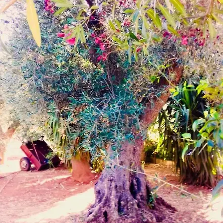 בית נופש Villa Gennarosa
