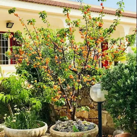 Villa Gennarosa בית נופש Macchia di Monte